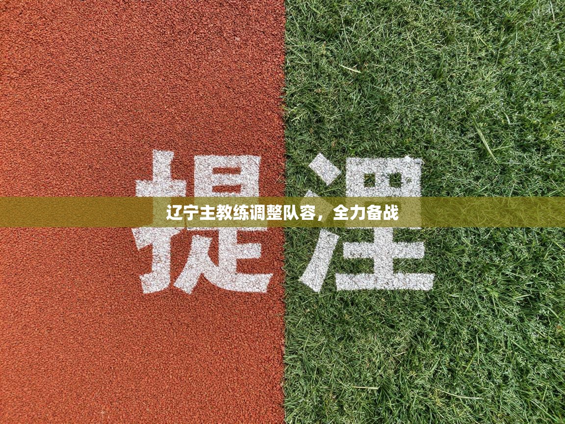 辽宁主教练调整队容，全力备战  第1张