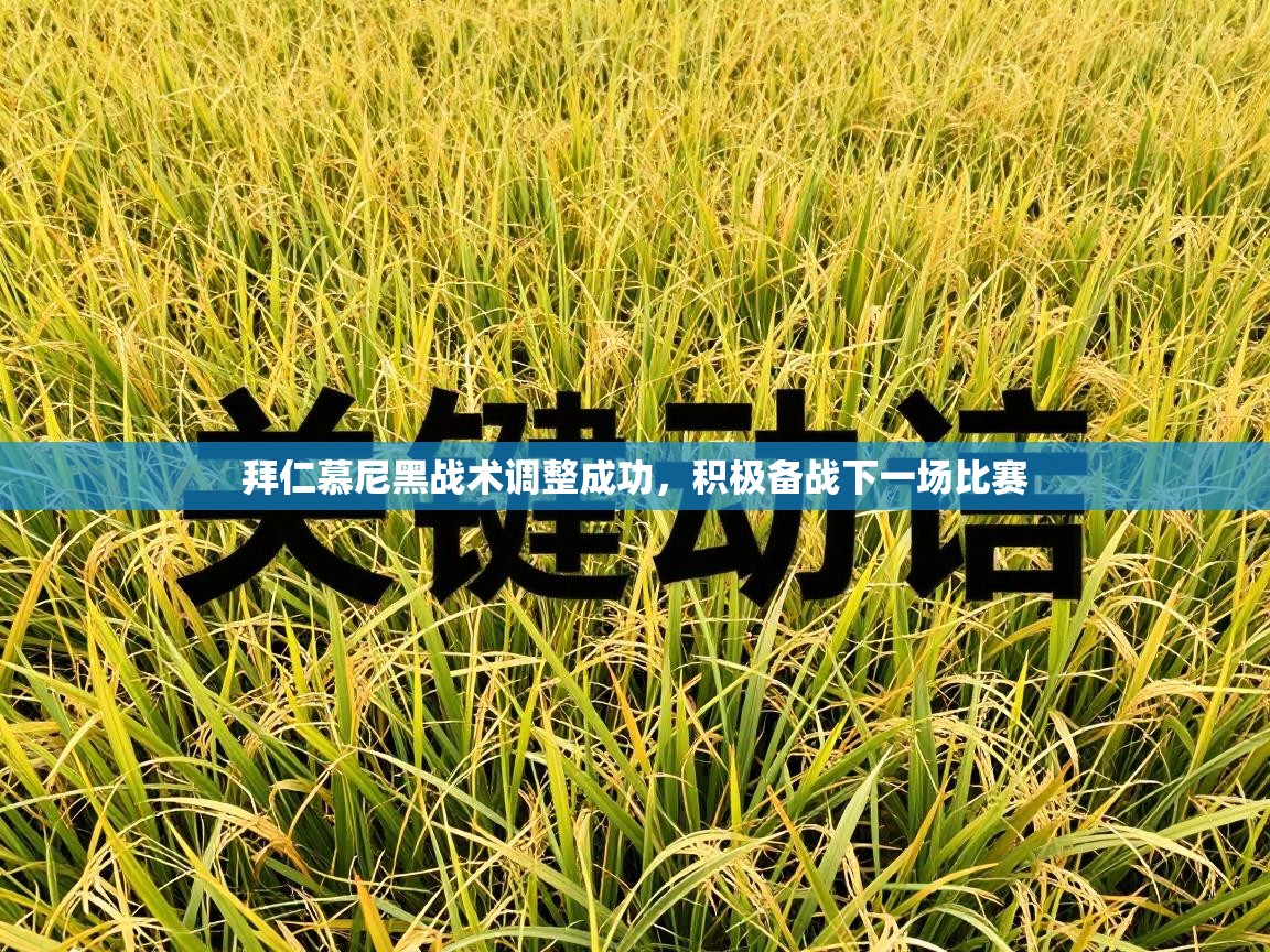 拜仁慕尼黑战术调整成功，积极备战下一场比赛  第2张