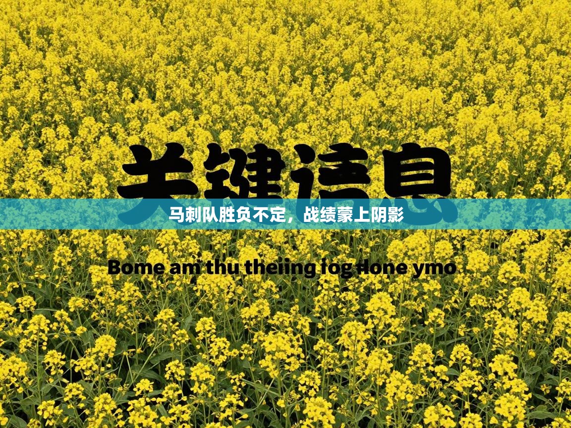 马刺队胜负不定，战绩蒙上阴影  第2张