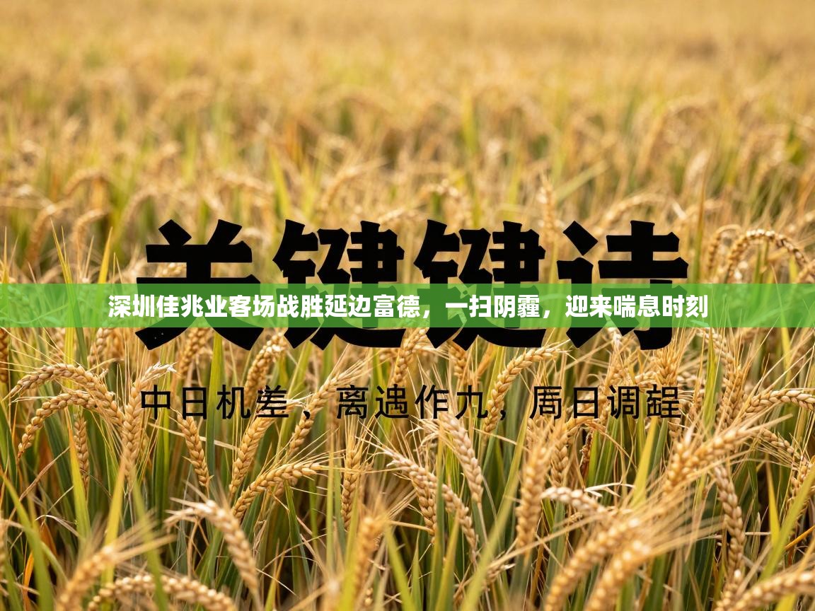 深圳佳兆业客场战胜延边富德，一扫阴霾，迎来喘息时刻